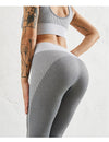 Contour Seamless Legging